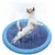 Imagem do 150/170cm verão pet piscina inflável água sprinkler almofada jogar esteira de
