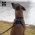 Arnês para cães personalizado, sem puxar, reflexivo, acolchoado, para cães de - loja online