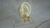 Aretes Estrella - comprar en línea