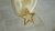 Aretes Estrella en internet