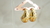 Aretes de gota dorados en internet