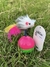 Pendúlo con pluma en internet