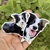 Stickers - comprar online