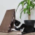 Rascador paris - Rufo Pet