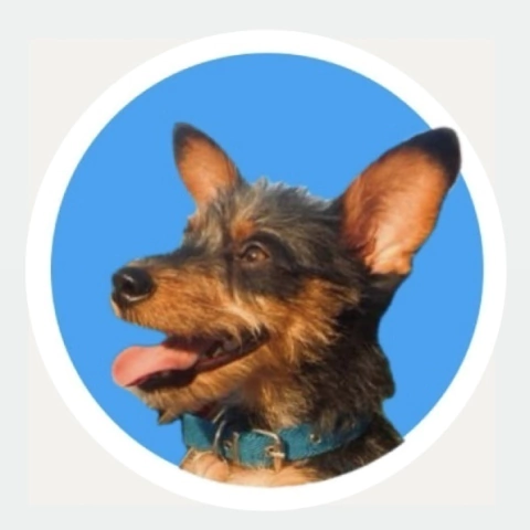 Rufo Pet