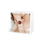 Imagen de Reloj Inteligente G-TiDE Romance