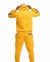 Conjunto moletom masculino Yellow com capuz - Kuavi