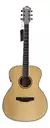 Guitarra Electro Acústica PARQUER GA500LBEQ4 - comprar online