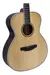 Guitarra Electro Acústica PARQUER GA500LBEQ4 - tienda online