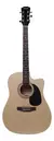 Guitarra Acústica PARQUER GAC109LB - comprar online