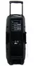 Bafle Potenciado Doble De 10 Moon Wild210aup Bluetooth en internet