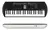 Teclado Musical Casio Casiotone Sa-81 44 Teclas Negro 220v en internet