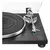 Imagen de Bandeja Tocadiscos Audio-technica At-lpw30bkr Capsula Atvm95 Color Negro