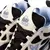 LV Skate Black White Light Blue - comprar online