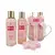 set de regalo Vitanatura Taza alambre rosa