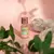 Aceite Aromatizante Para Hornillo Aquí & Ahora 10ml