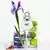 Perfume Colors Free Her Benetton Edt 80 ml en internet