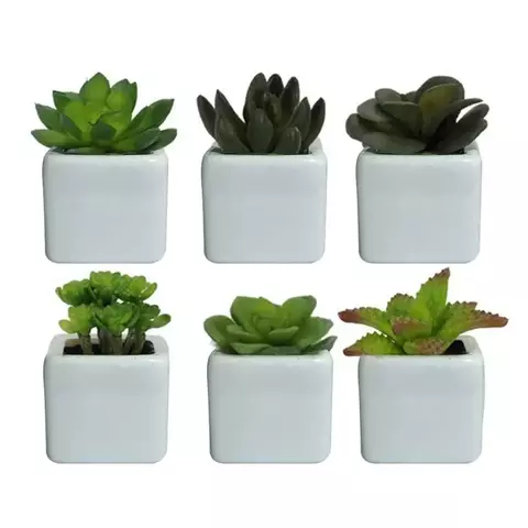 Vaso Branco Decorativo em Ceramica com Suculenta