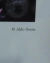CUADRO IMPORTANTE FOTOGRAFIA ALDO SESSA PATIO DE LAS PALMERAS CASA ROSADA ARGENTINA. - tienda online