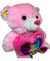 Imagen de Peluche Oso Te Amo San Valentin Amor 40cm