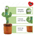 Juguete Cactus Peluche Luminoso Canta Baila Bailarin Musica Repite Voz Veoquiero - Zeide Essentials