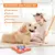 Brinquedo quebra-cabeça para treinamento de cães BrainPup na internet