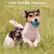 Bola de brinquedo para pets PlayPaw - comprar online