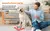 Brinquedo quebra-cabeça para treinamento de cães BrainPup