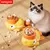 Alimentador automático para gatos MeowFeeder