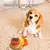 Alimentador automático para gatos MeowFeeder - Cultura de oferta