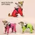 Jaqueta impermeável para pets RainPaw