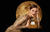 Chanel Nº 5 Eau De Parfum 100ml na internet