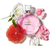 Chanel Chance Eau Tendre Edp 150ml Para Feminino na internet