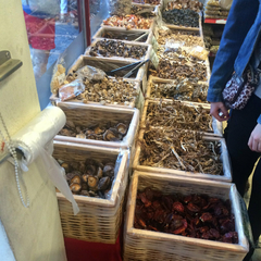 Banner de la categoría Hongos deshidratados