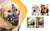 Focinheira Confortável com Faixa Refletiva para Cães na internet