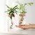 Vaso HidroDecor de Vidro - loja online