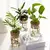 Vaso HidroDecor de Vidro