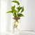 Imagem do Vaso HidroDecor de Vidro