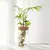 Vaso HidroDecor de Vidro - loja online