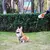 Trela Retrátil Automática para Cães
