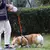 Trela Retrátil Automática para Cães - Luz&Foco