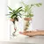 Vaso HidroDecor de Vidro