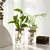 Vaso HidroDecor de Vidro - comprar online