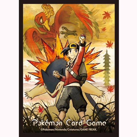 Sleeves Hibiki & Typhlosion