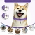 Colar Pet Calmante Ajustável - para gatos e cães - comprar online