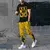 PlaidCore na internet