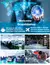 FLEXSHIELD MAX - loja online