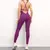 Imagem do FlexaFit One