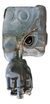 Tanque De Combustivel Original Vw Golf 1993 A 1998 - Desmonte Meu Querido