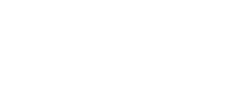 Dani moda feminina